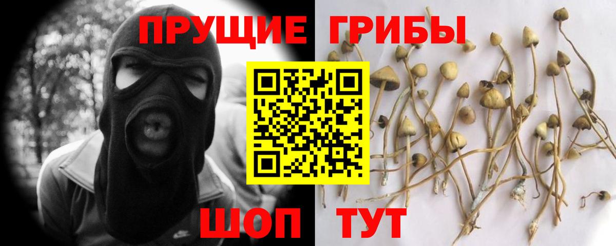 Чехов  Галлюциногенные грибы ЛСД  Вход с VPN 