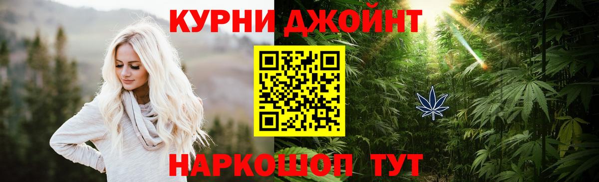 Канабис гибрид Чехов